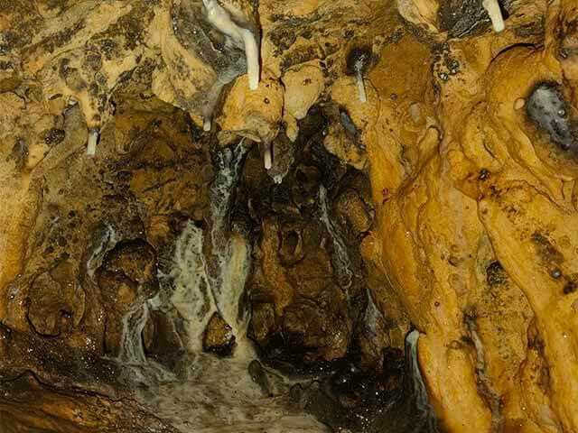 Pestera cu oase Poiana Botizii